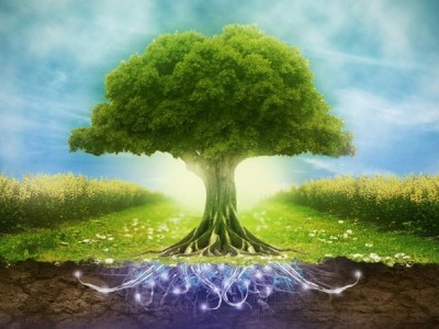 Карб веданья сущности Покона